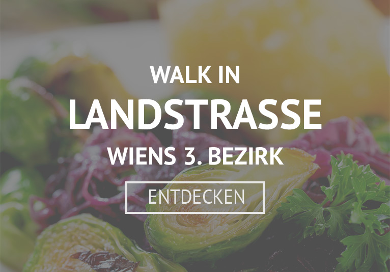 Walk in Landstrasse - Wiens 3. Bezirk